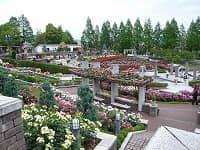 荒巻バラ公園