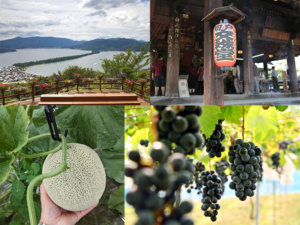 社員旅行・団体旅行で行く海の京都京丹後フルーツ狩りと天橋立